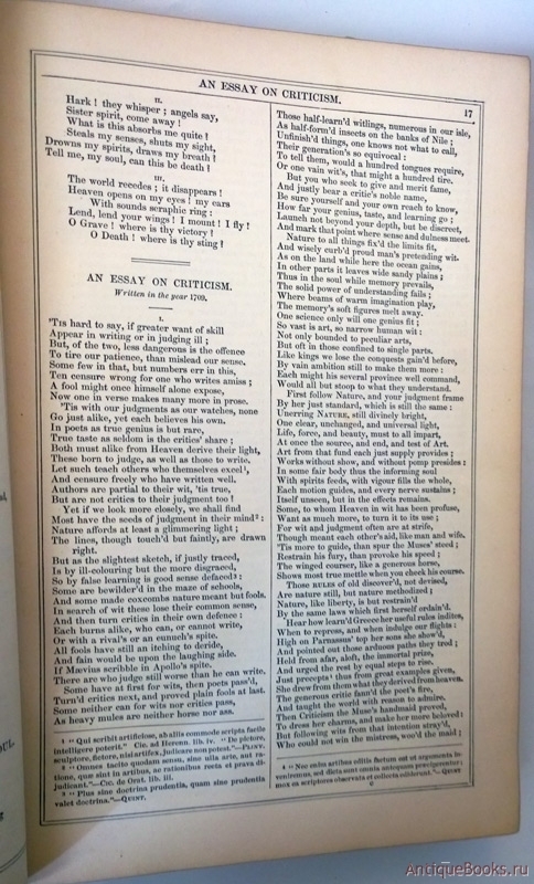 Alexander pope essay on man whatever is is right